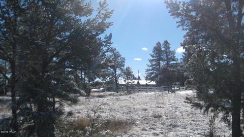 2196 Ruby Ln, Overgaard, AZ 85933 photo 12