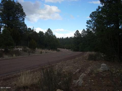 2941 Ranch House, Overgaard, AZ 85933 photo 18