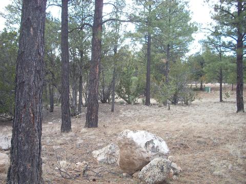 2941 Ranch House, Overgaard, AZ 85933 photo 21