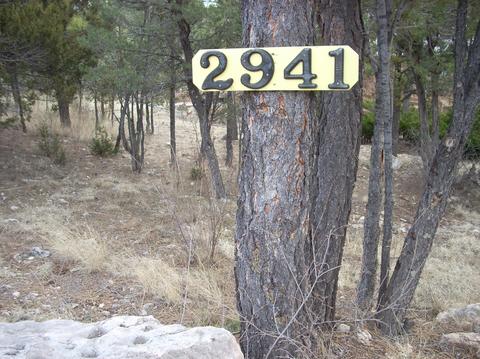 2941 Ranch House, Overgaard, AZ 85933 photo 20