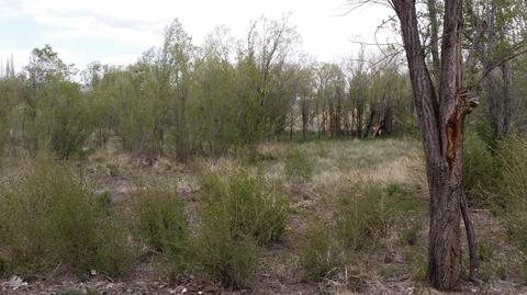 581 S Eagar St, Eagar, AZ 85925 photo 17