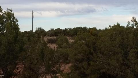 4241 Colt Rd, Snowflake, AZ 85937 photo 3