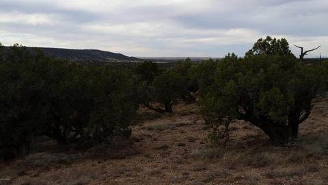 4241 Colt Rd, Snowflake, AZ 85937 photo 1