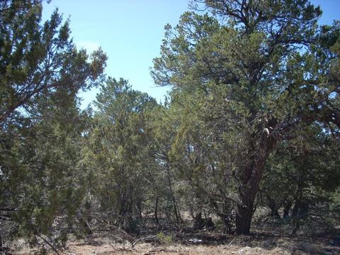 2175 Arrowhead Trl, Overgaard, AZ 85933 photo 9
