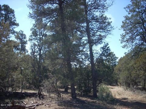 2175 Arrowhead Trl, Overgaard, AZ 85933 photo 1