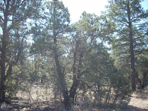 2175 Arrowhead Trl, Overgaard, AZ 85933 photo 14