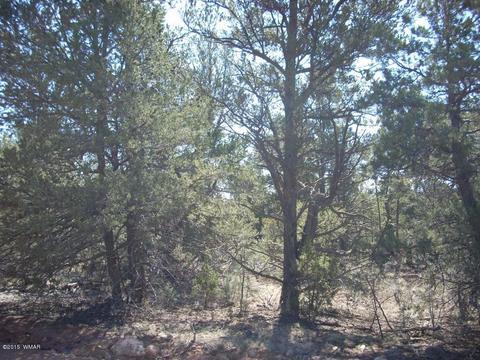 2175 Arrowhead Trl, Overgaard, AZ 85933 photo 15