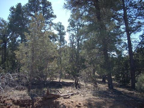 2175 Arrowhead Trl, Overgaard, AZ 85933 photo 2
