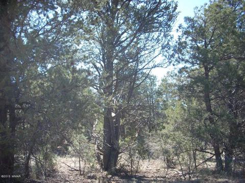 2175 Arrowhead Trl, Overgaard, AZ 85933 photo 13