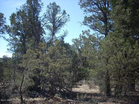 2175 Arrowhead Trl, Overgaard, AZ 85933 photo 12