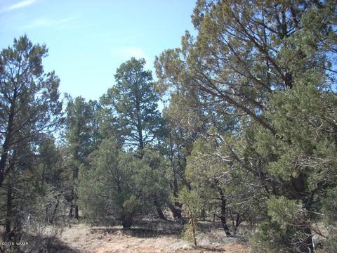 2175 Arrowhead Trl, Overgaard, AZ 85933 photo 5
