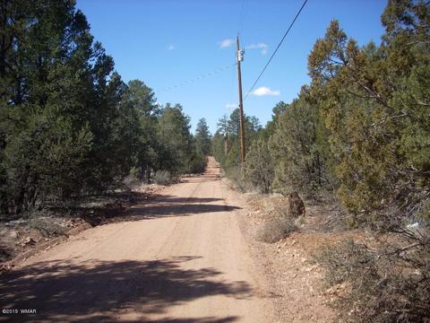 2175 Arrowhead Trl, Overgaard, AZ 85933 photo 11