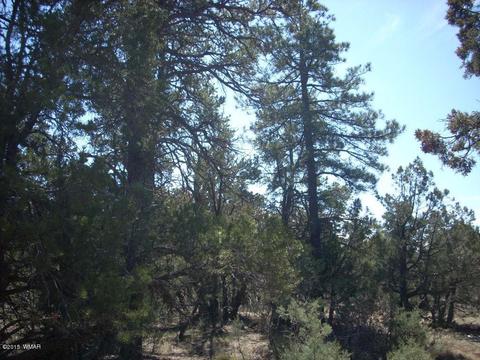 2175 Arrowhead Trl, Overgaard, AZ 85933 photo 4
