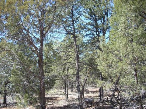 2175 Arrowhead Trl, Overgaard, AZ 85933 photo 7