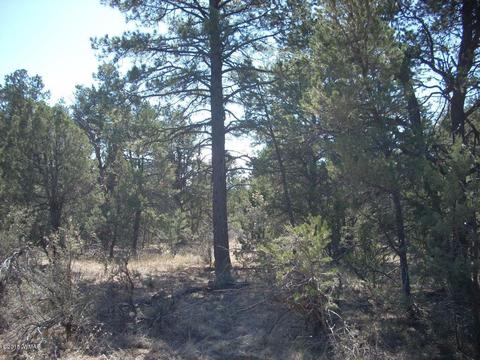 2175 Arrowhead Trl, Overgaard, AZ 85933 photo 18