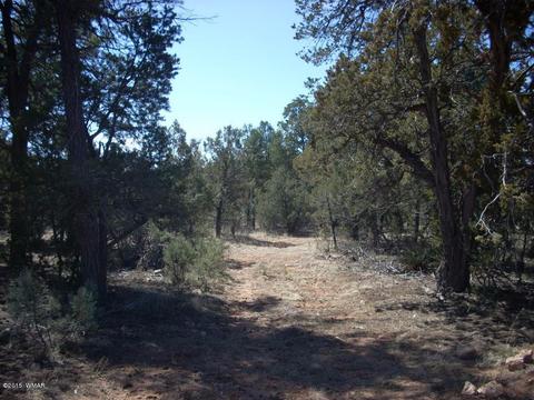 2175 Arrowhead Trl, Overgaard, AZ 85933 photo 3
