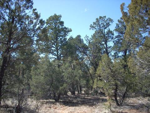 2175 Arrowhead Trl, Overgaard, AZ 85933 photo 6