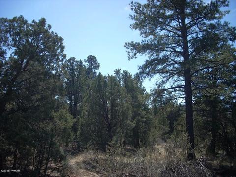 2175 Arrowhead Trl, Overgaard, AZ 85933 photo 16