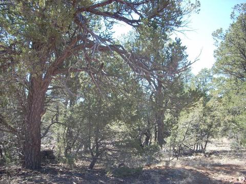 2175 Arrowhead Trl, Overgaard, AZ 85933 photo 10