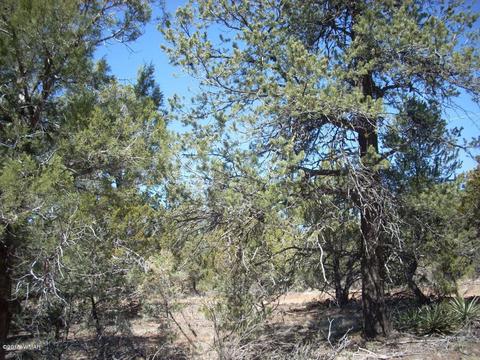 2175 Arrowhead Trl, Overgaard, AZ 85933 photo 8