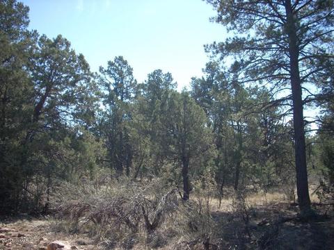 2175 Arrowhead Trl, Overgaard, AZ 85933 photo 17