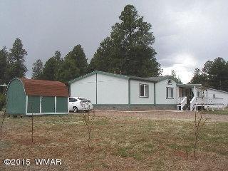 2176 Garnet Ln, Overgaard, AZ 85933 photo 3
