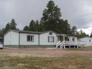 2176 Garnet Ln, Overgaard, AZ 85933 photo 1