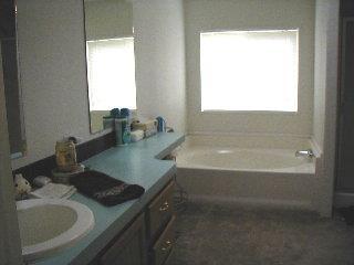 2176 Garnet Ln, Overgaard, AZ 85933 photo 13