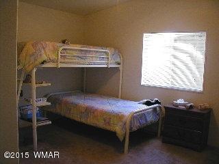 2176 Garnet Ln, Overgaard, AZ 85933 photo 17