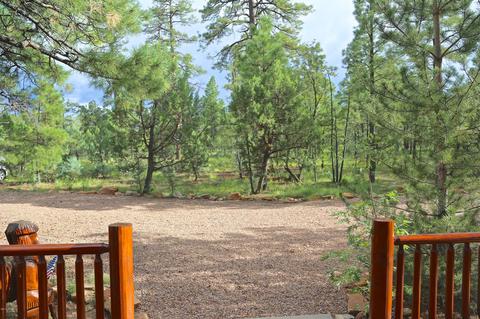 2787 W Valley Cut, Overgaard, AZ 85933 photo 23