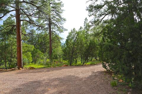 2787 W Valley Cut, Overgaard, AZ 85933 photo 27