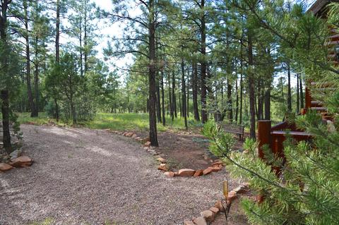 2787 W Valley Cut, Overgaard, AZ 85933 photo 26