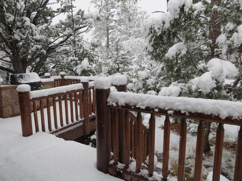 2787 W Valley Cut, Overgaard, AZ 85933 photo 29