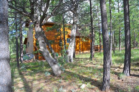 2787 W Valley Cut, Overgaard, AZ 85933 photo 22