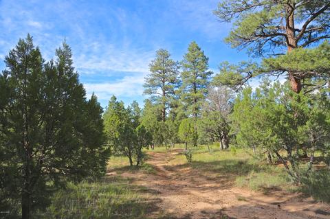 2787 W Valley Cut, Overgaard, AZ 85933 photo 28