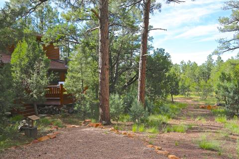 2787 W Valley Cut, Overgaard, AZ 85933 photo 24