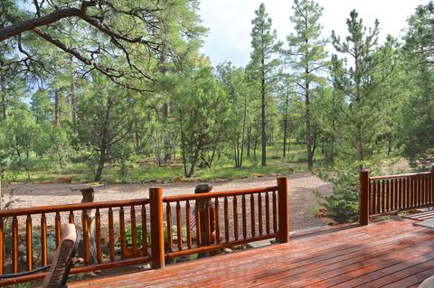 2787 W Valley Cut, Overgaard, AZ 85933 photo 25