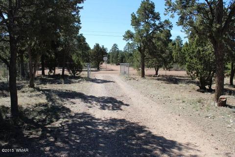 2068 Rendezvous Pine Dr, Heber, AZ 85928 photo 13