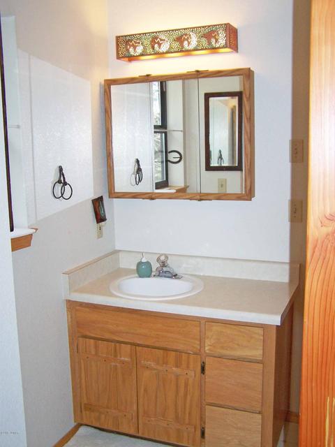16 County Rd 2070, Alpine, AZ 85920 photo 20