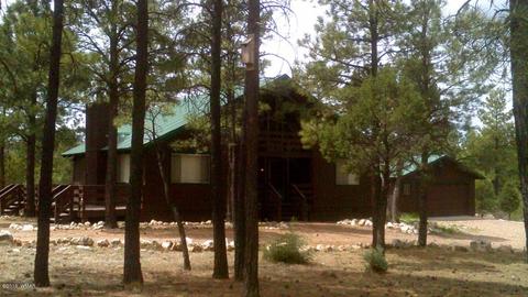 2958 Windmill Ln, Overgaard, AZ 85933 photo 1