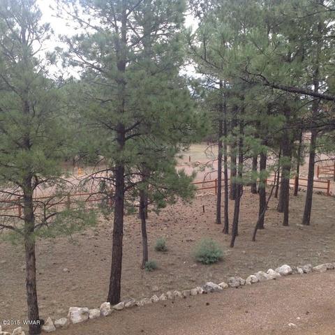 2958 Windmill Ln, Overgaard, AZ 85933 photo 27
