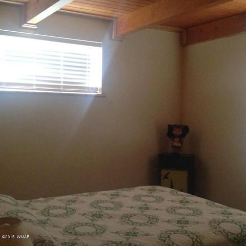 2958 Windmill Ln, Overgaard, AZ 85933 photo 17