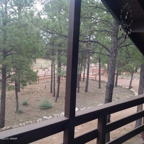 2958 Windmill Ln, Overgaard, AZ 85933 photo 28