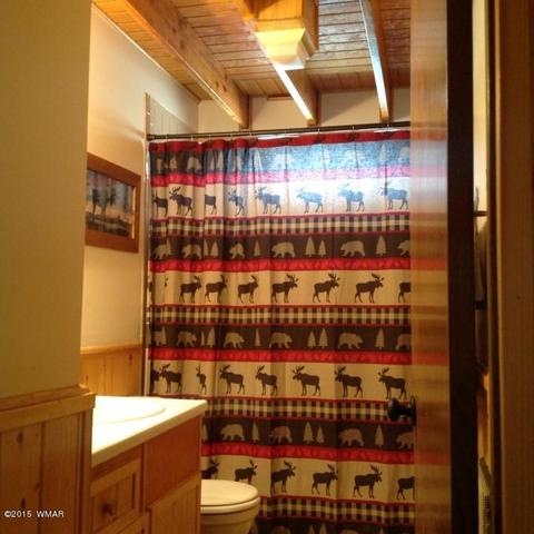 2958 Windmill Ln, Overgaard, AZ 85933 photo 16
