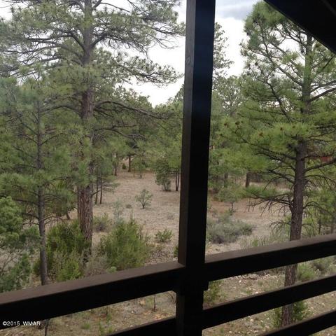 2958 Windmill Ln, Overgaard, AZ 85933 photo 24