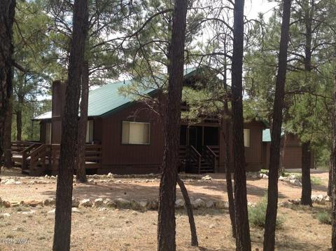 2958 Windmill Ln, Overgaard, AZ 85933 photo 29