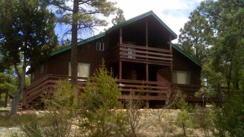 2958 Windmill Ln, Overgaard, AZ 85933 photo 3