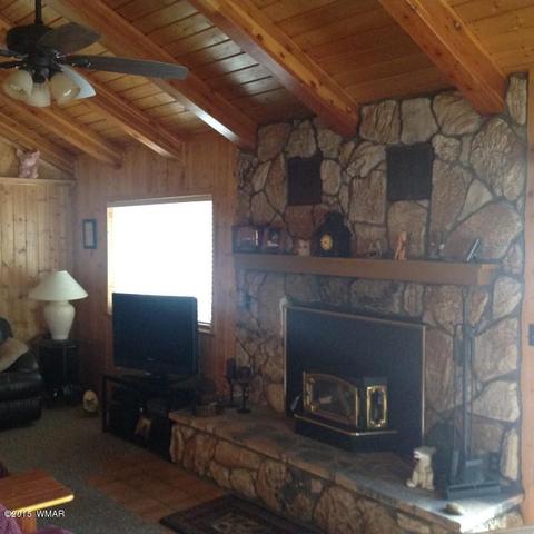 2958 Windmill Ln, Overgaard, AZ 85933 photo 6