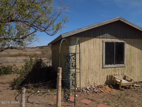 1549 E 2nd, Springerville, AZ 85938 photo 21