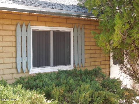 1549 E 2nd, Springerville, AZ 85938 photo 11